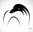 Vector image of an dog (azawakh)