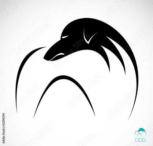 Vector: Vector image of an dog (azawakh) Vector image of an dog (azawakh)