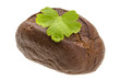 Small bread and parsley