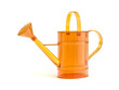 Illustration: Glass watering can Glass watering can