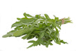 Photo: Ein Bund Rucola auf weißem Hintergrund Ein Bund Rucola auf weißem Hintergrund