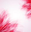 floral background