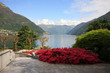 giardino fiorito a Faggeto Lario - lago di Como