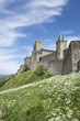 Cité de Carcassonne