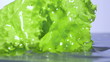 Video: Fresh lettuce salad falls under water with a splash. isolated on Fresh lettuce salad falls under water with a splash. isolated on
