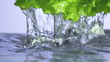 Video: Fresh lettuce salad falls under water with a splash. isolated on Fresh lettuce salad falls under water with a splash. isolated on