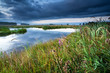 Photo: wildflowers by lake at sunrise wildflowers by lake at sunrise