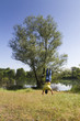 Young funny man doing somersault on the grass near the river