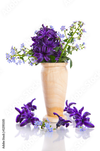 Photo: hyacinth hyacinth