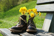 Wanderstiefel mit Blumen