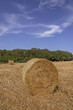 south downs