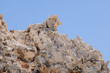 South Tufa