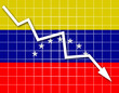 The Venezuelan flag