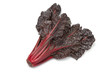 Fresh red chard