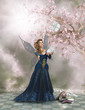 Illustration: Fairy Land Fairy Land