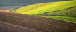crops