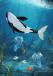 Orca II