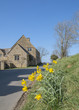 Photo: cottage cottage