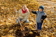 family planting tree  in autumn