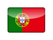 The Portuguese flag