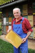 Beekeeper in front of apiary holding a frame of honeycomb