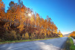 Autumn, HDRI