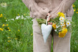 Photo: wild flowers wild flowers