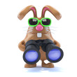 Chocolate Bunny Can See You