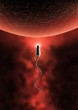 sperm and egg cell - Natural insemination -