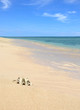Sea shell on sandy beach with blue sky