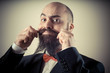  funny elegant bearded man touching mustache