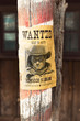 wanted far west