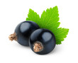 Photo: Black currants isolated on white Black currants isolated on white
