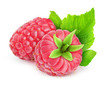 Photo: Raspberry isolated on white Raspberry isolated on white
