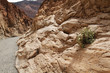 Mosaic canyon, Death Valley
