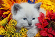 Cute kitten and flowers