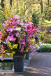 Vases with spring flowers decoration