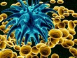 blue bacteria
