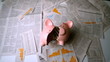 Piggy bank falling and being broken over sheets of paper
