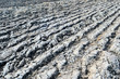 agricultural background showing a plowed field surface