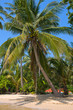 Foto: Beautiful beach and tropical sea, Thailand. Beautiful beach and tropical sea, Thailand.