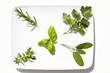 Erbe aromatiche