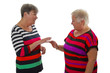 Seniorinnen im Gespraech