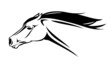 running horse head vector illustration