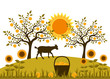 apple harvest