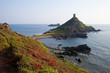 Les îles Sanguinaires en Corse