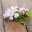 Apfelblüten