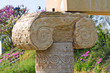 Archaeological Park. Metaponto. Basilicata. Italy.