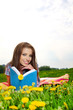 Beautiful girl lies on meadow and reads the boo