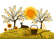 apple harvest